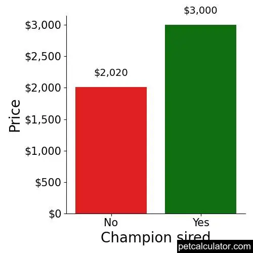 Price of Irish Wolfhound by Champion sired 