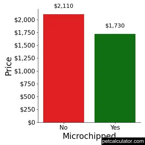 Price of Irish Wolfhound by Microchipped 