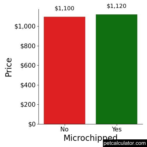 Price of Jack Russell Terrier by Microchipped 