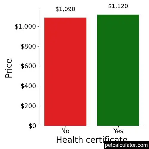 Price of Jack Russell Terrier by Health certificate 