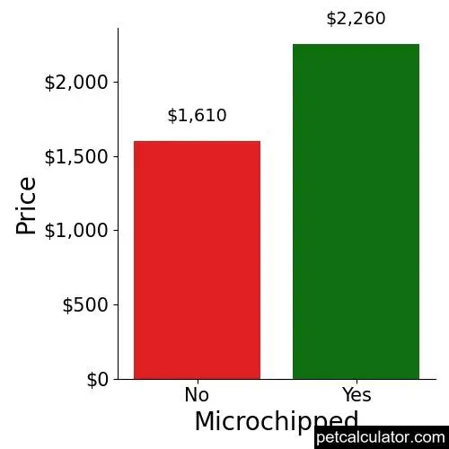 Price of Japanese Chin by Microchipped 