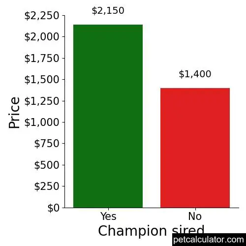 Price of Kerry Blue Terrier by Champion sired 
