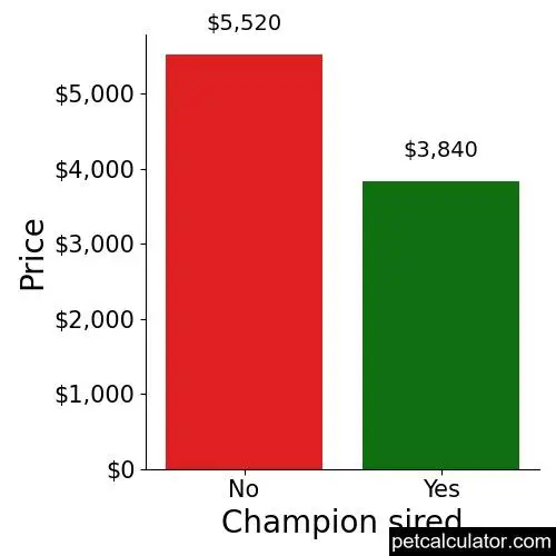 Price of Lagotto Romagnolo by Champion sired 