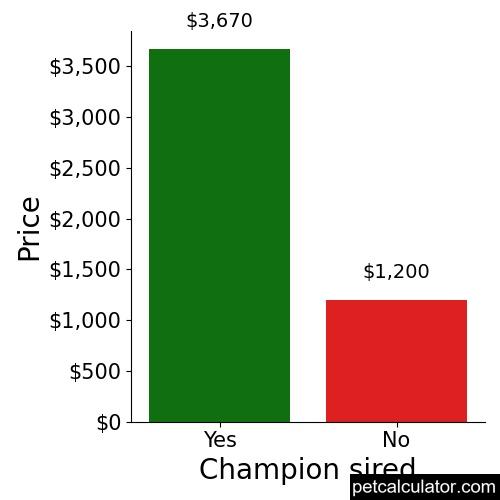 Price of Lowchen by Champion sired 