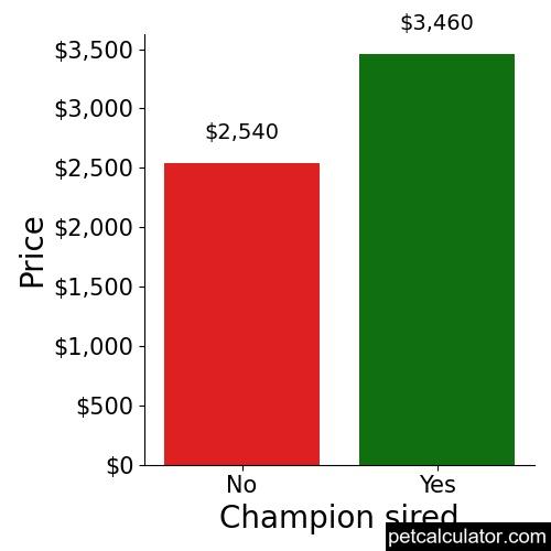 Price of Maltese by Champion sired 