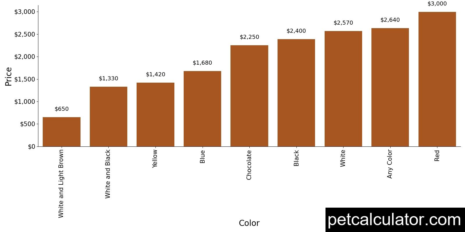 Price of Maltese by Color 