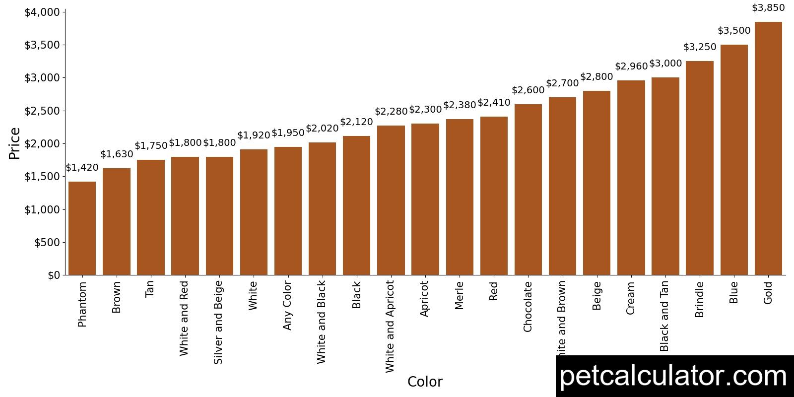 Price of Maltipoo by Color 