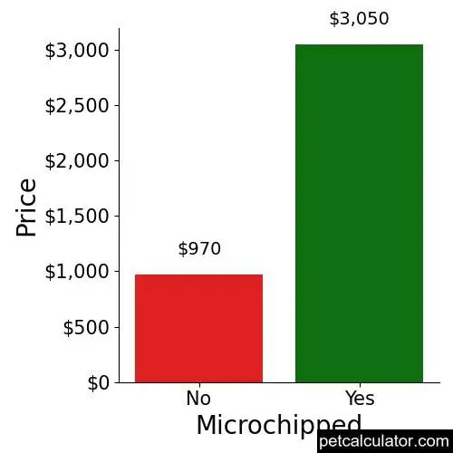 Price of Maremma Sheepdog by Microchipped 