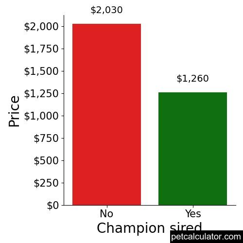Price of Miniature American Shepherd by Champion sired 