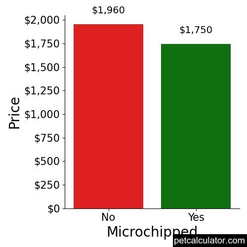 Price of Miniature American Shepherd by Microchipped 