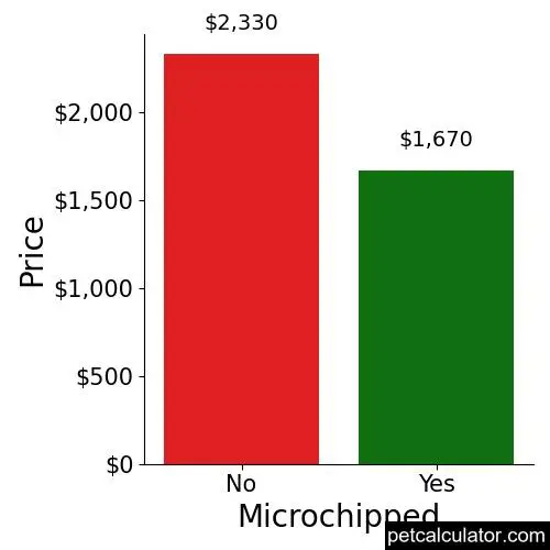 Price of Miniature Golden Retriever by Microchipped 