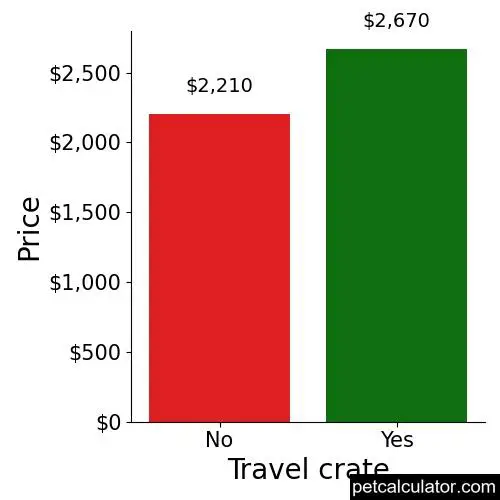 Price of Miniature Golden Retriever by Travel crate 