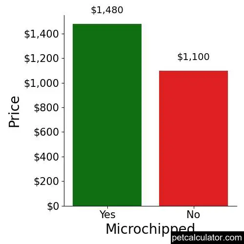 Price of Miniature Pinscher by Microchipped 