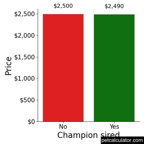 Price of Miniature Poodle by Champion sired 