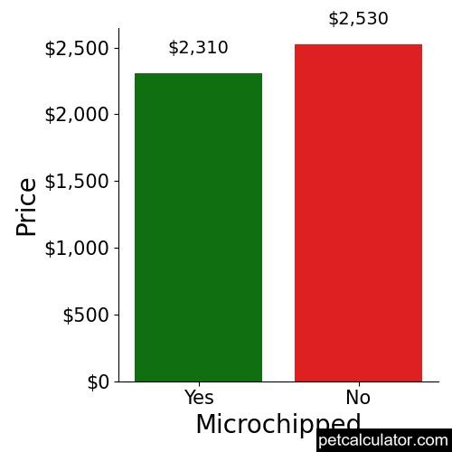 Price of Miniature Poodle by Microchipped 
