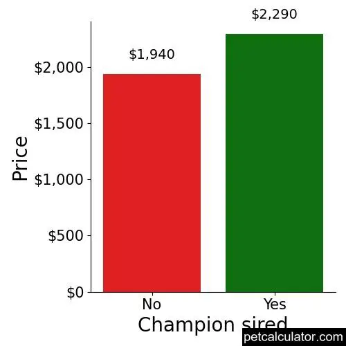 Price of Miniature Schnauzer by Champion sired 
