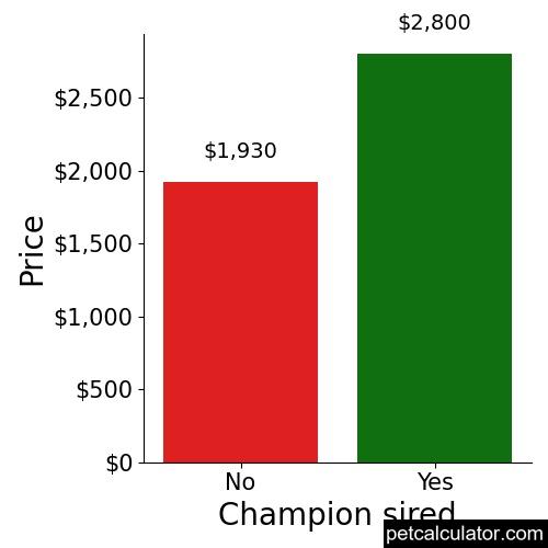 Price of Morkie by Champion sired 