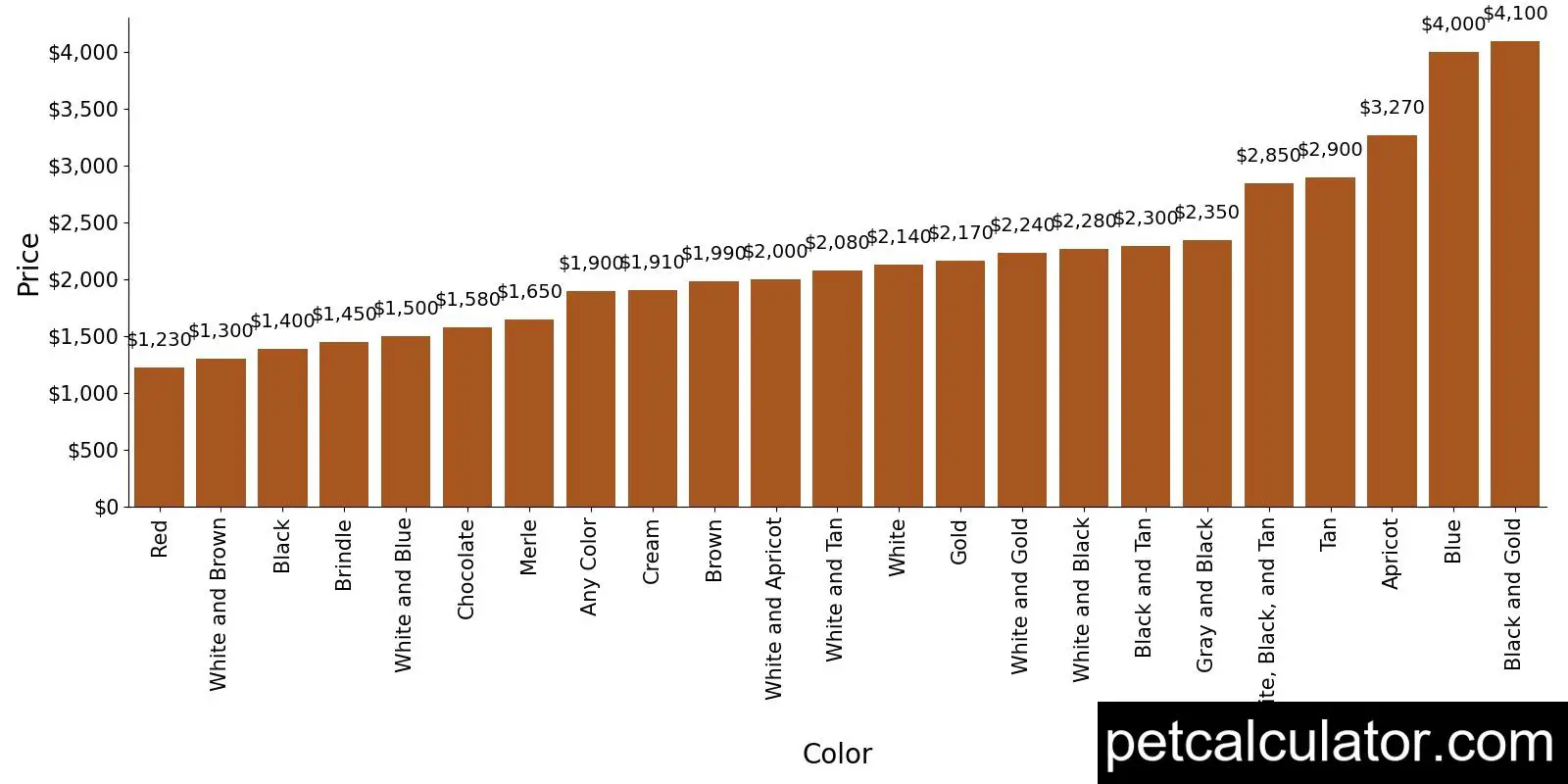 Price of Morkie by Color 