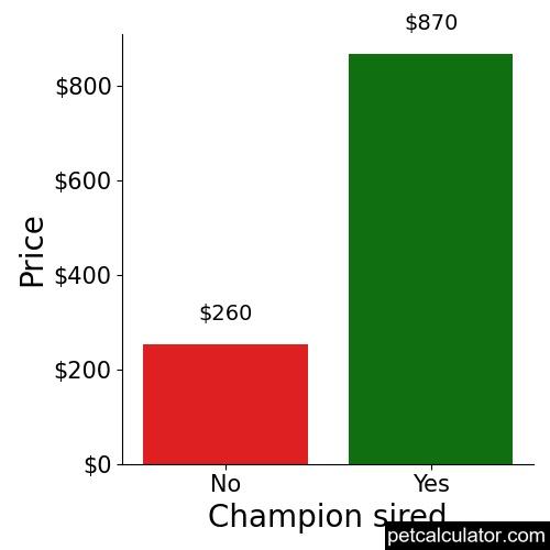 Price of Mountain Feist by Champion sired 