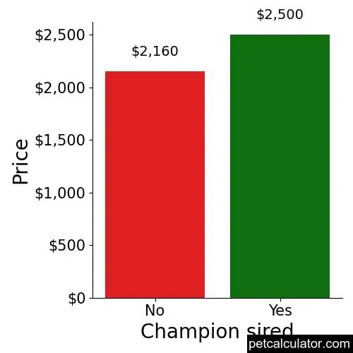 Price of Newfoundland by Champion sired 