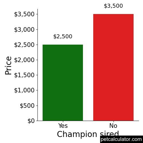 Price of Norfolk Terrier by Champion sired 