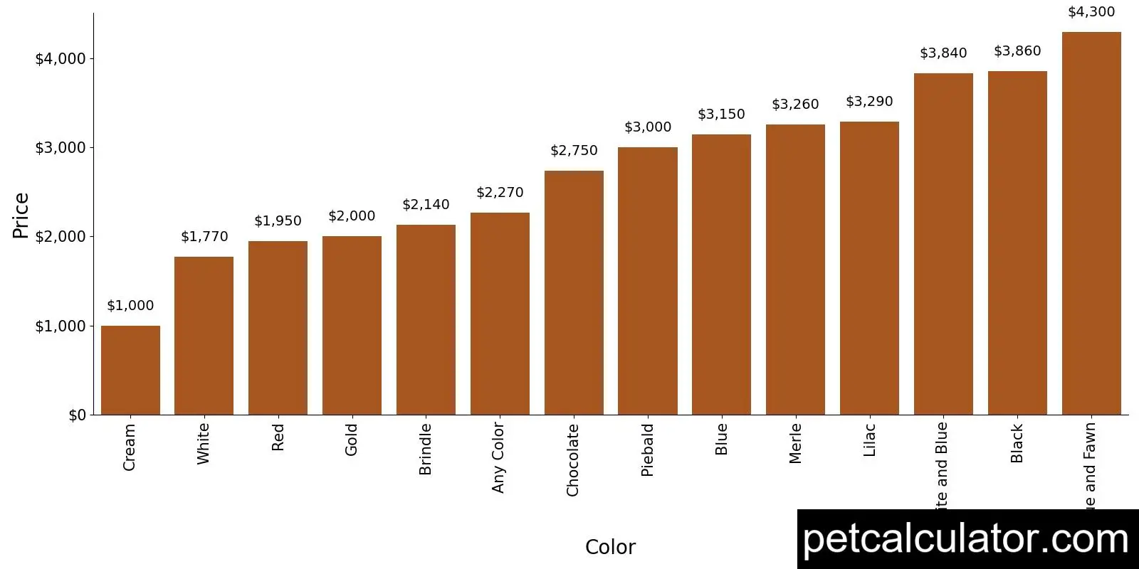 Price of Olde English Bulldogge by Color 