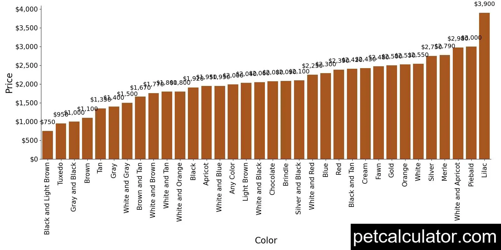 Price of Pomeranian by Color 