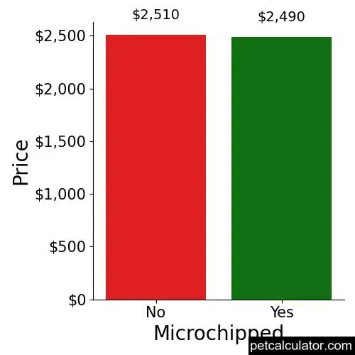 Price of Portuguese Water Dog by Microchipped 
