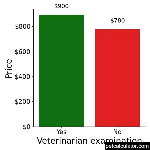 Price of American Bandogge Mastiff by Veterinarian examination 