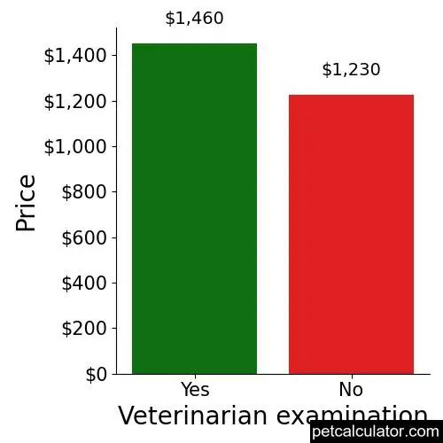 Price of American Bulldog by Veterinarian examination 