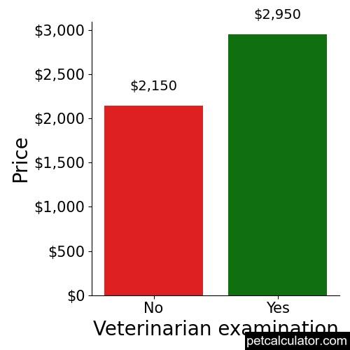 Price of American Bully by Veterinarian examination 