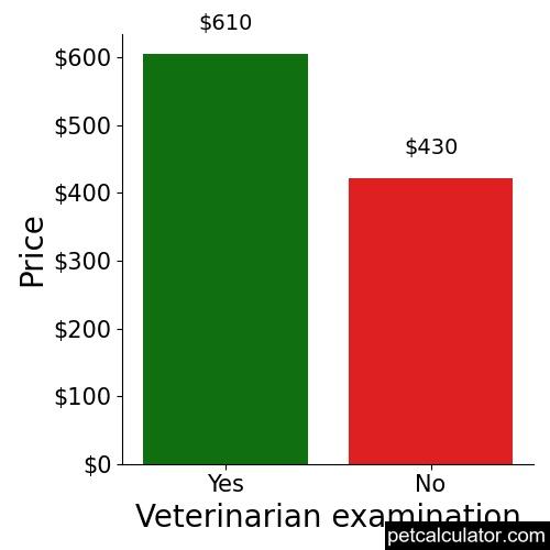 Price of American English Coonhound by Veterinarian examination 
