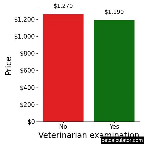 Price of American Eskimo Dog by Veterinarian examination 