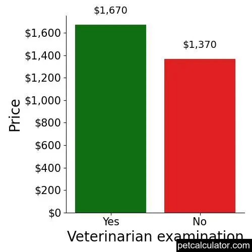 Price of American Hairless Terrier by Veterinarian examination 