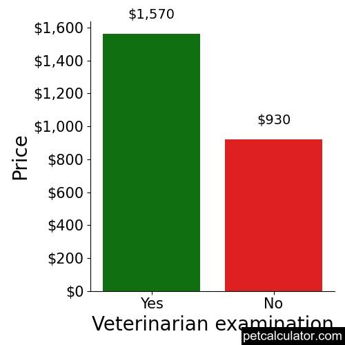 Price of American Pit Bull Terrier by Veterinarian examination 