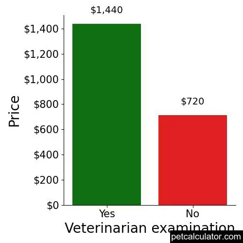 Price of American Staffordshire Terrier by Veterinarian examination 
