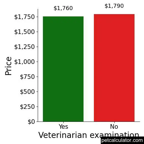 Price of Aussiedoodle by Veterinarian examination 
