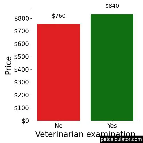 Price of Australian Cattle Dog by Veterinarian examination 