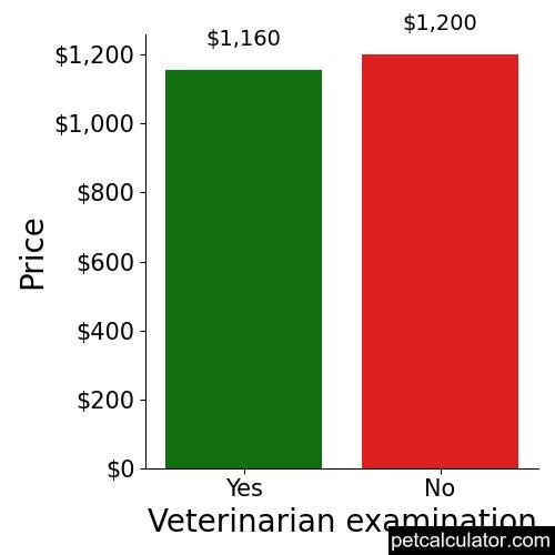 Price of Australian Koolie by Veterinarian examination 