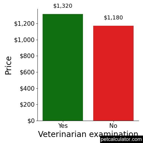 Price of Basset Hound by Veterinarian examination 