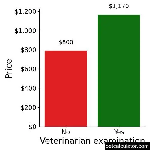 Price of Bearded Collie by Veterinarian examination 