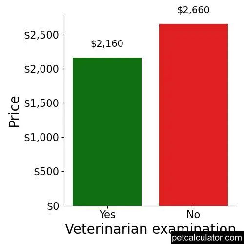 Price of Bedlington Terrier by Veterinarian examination 