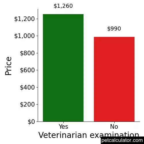 Price of Belgian Sheepdog by Veterinarian examination 
