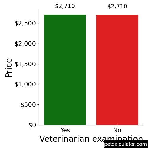 Price of Bernedoodle by Veterinarian examination 
