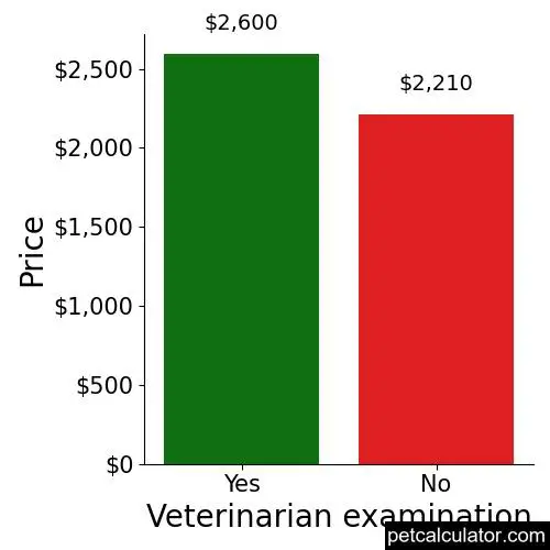 Price of Biewer Terrier by Veterinarian examination 