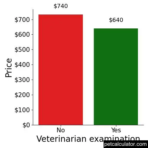 Price of Black Mouth Cur by Veterinarian examination 