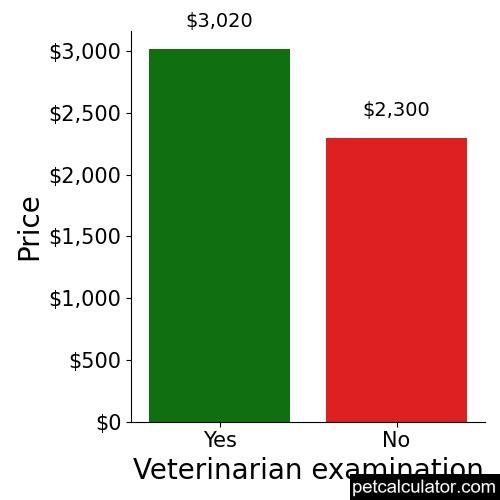 Price of Black Russian Terrier by Veterinarian examination 