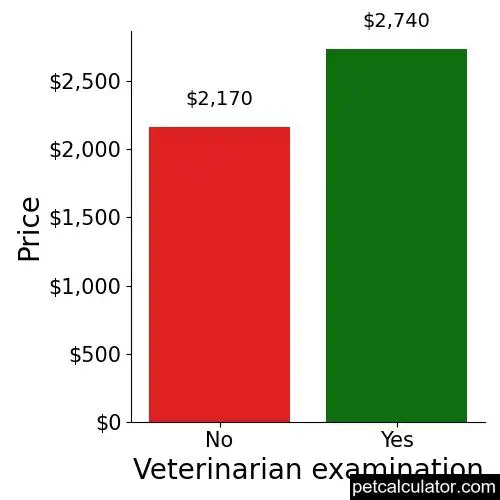 Price of Boerboel by Veterinarian examination 