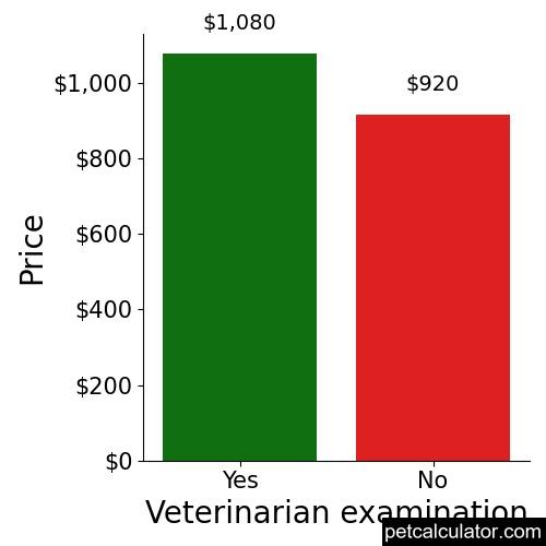 Price of Border Collie by Veterinarian examination 