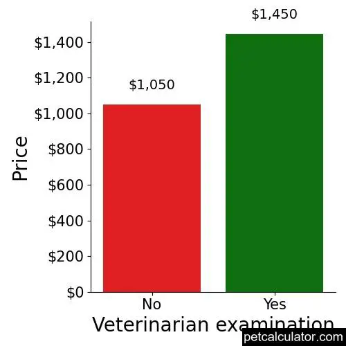 Price of Border Terrier by Veterinarian examination 